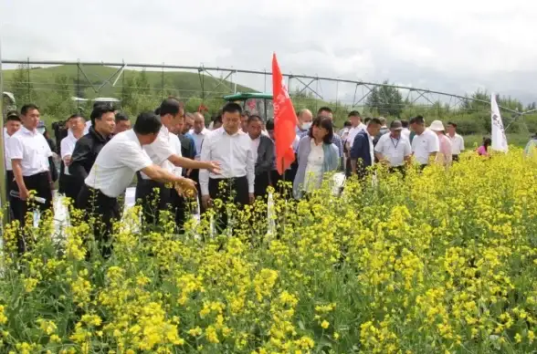 武器技巧🔥真三国无双起源翔鸾高效使用全攻略解析