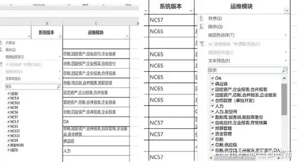 ASP优化 单次执行机制 如何在ASP中确保代码只执行一次？