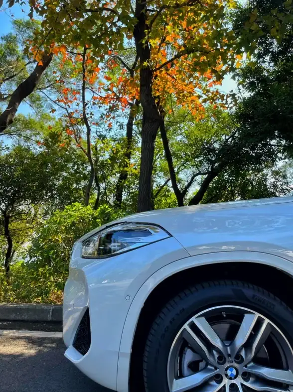 炼金必看⚡材料合成价值全解析丨投资理财攻略大揭秘