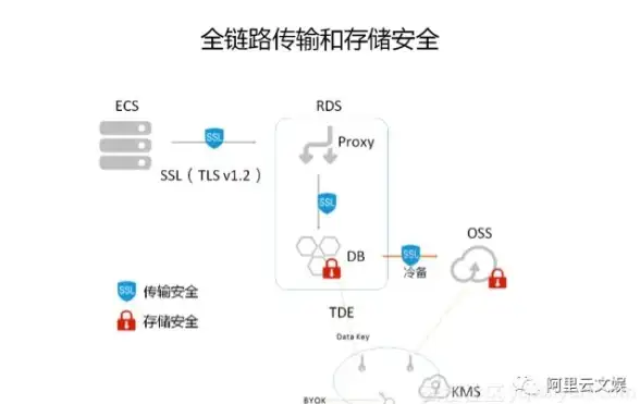 🔥阵容必看🔥高爆发🔥恰斯卡最佳角色搭配全攻略！