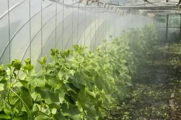 麻将技巧🀄底如何打灬掌握四点底的详细步骤和注意事项