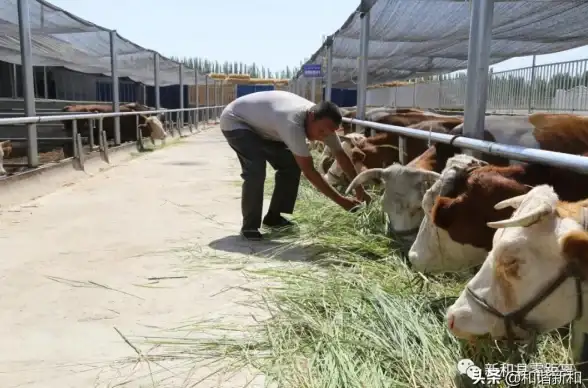 还在为海外剧资源发愁？试试Aptoide应用商店，追剧下载两不误！