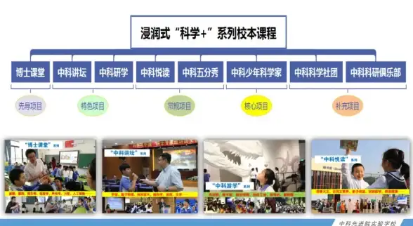 龙息神寂西恩玩法攻略与职业定位技巧