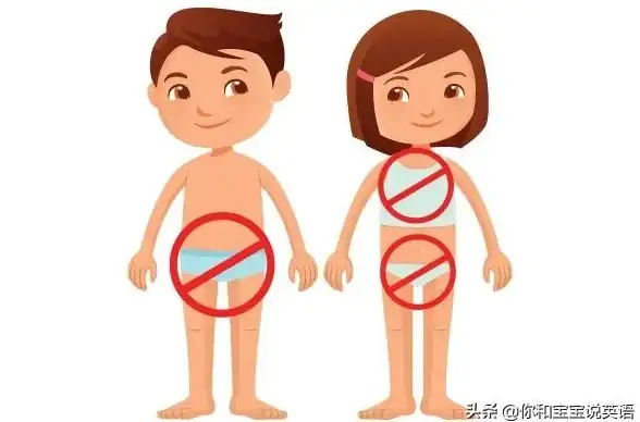 热门｜宝可梦｜手游 重磅盘点！2025最全玩法大揭秘！