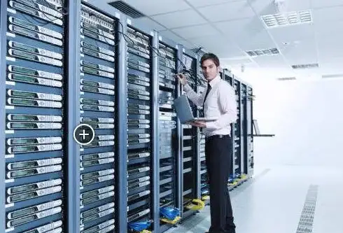 maple-hosting：享受无限流量1Gbps独享荷兰抗投诉服务器夏促$182