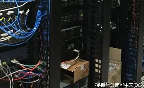 🔥热门游戏🔥恐龙迷必看｜2025恐龙进化生存游戏排行+爆款版本&特色装备详解