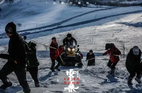 元数据📁xmp文件格式详解及主要用途解析