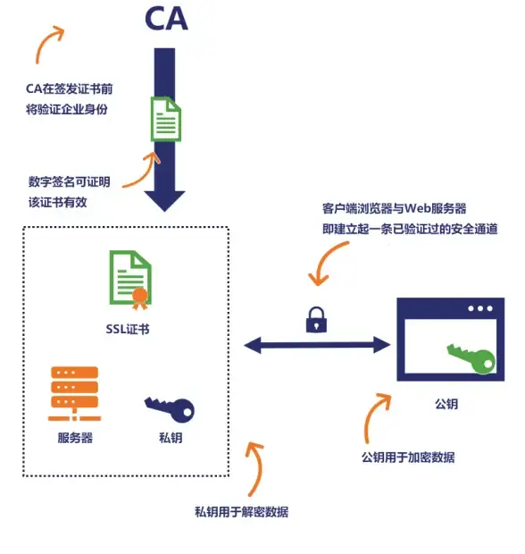 网络技巧🚀Mac地址查询：快速掌握mac地址查询方法，轻松查找你的Mac地址