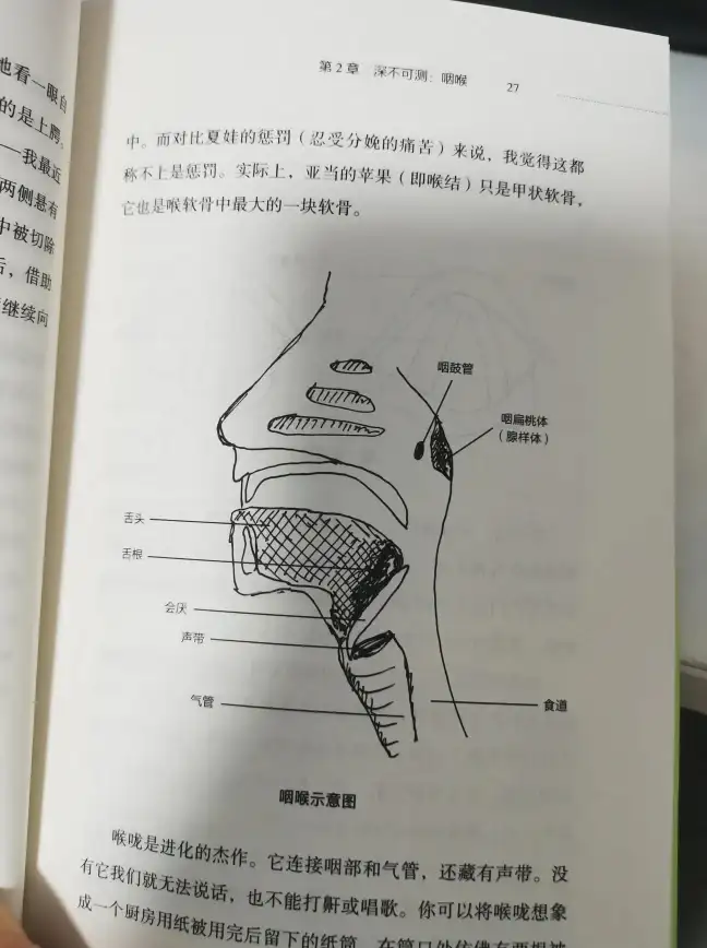 直播体验🔥斗鱼下载全新升级，畅享高清画质带来的互动新乐趣