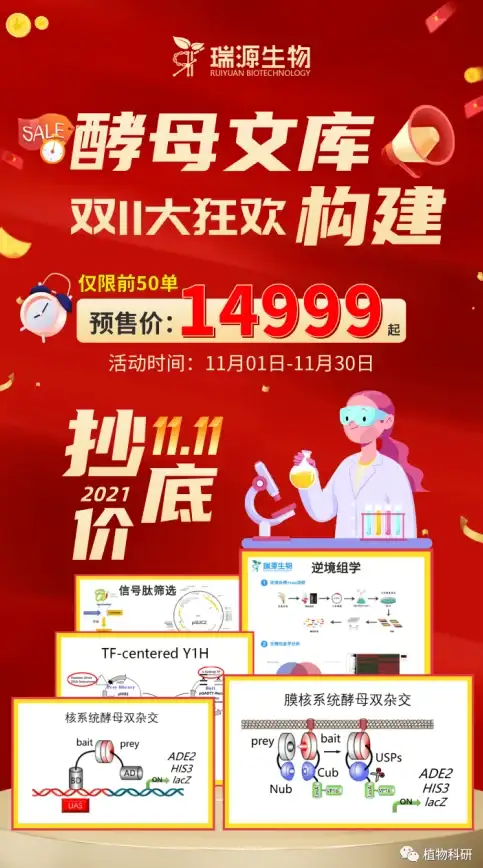 风险！账户安全警示—逆战迅雷下载隐患与防护全攻略｜网络安全专栏