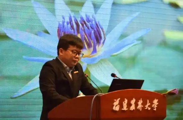 性能对比📊标压笔记本CPU与显卡性能天梯图详解，助你选机不迷茫