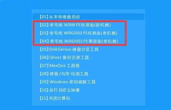 Mac入门🍏苹果电脑11系统新手安装教程详解
