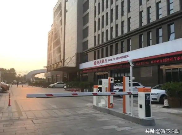 原神梦见月瑞希天赋加点技巧与实战应用