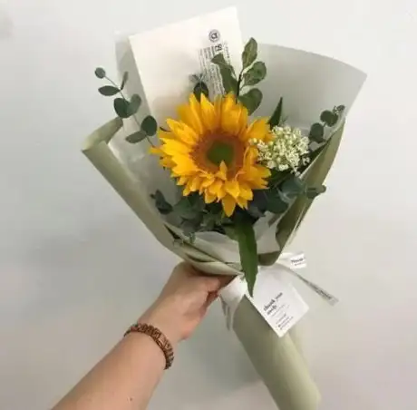 🔹角色解析🔹技能揭秘🔹战斗宝典 保卫向日葵》樱桃无常强力作用全面解析！