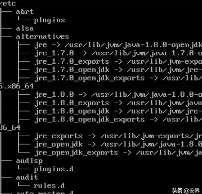 Linux 目录管理：高效删除目录的命令与文件管理技巧