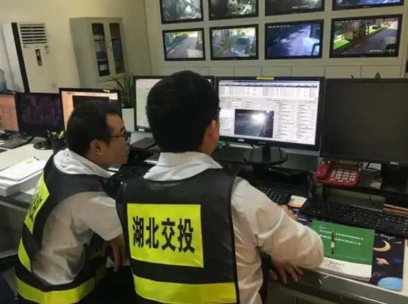 最新网络动态 全新域名直连技巧大揭秘 VPN连接与域名更新指南】