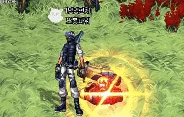宠物养成🔥50级弹弹堂最强属性推荐，实力爆棚攻略指南