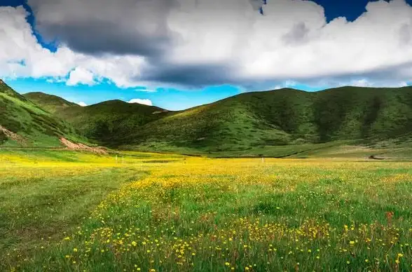 ⚡策略提升⚡游戏干货⚡深度解析 深入揭秘花园技能在碧蓝航线中的核心战略与升级秘诀