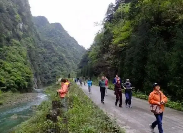 CDN优化,用户体验提升-本地化CDN节点提升安庆用户体验
