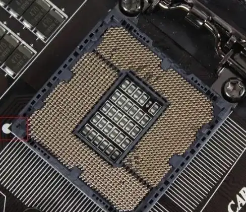 手机里没有米库工具APP？你的万能工具箱在哪里？
