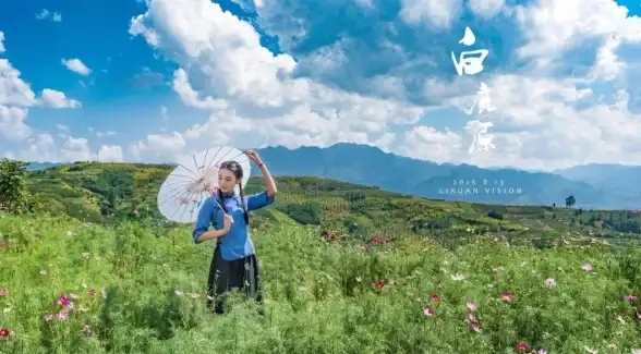 机房运营,站群优化-多运营商合一，北京机房站群服务器配置