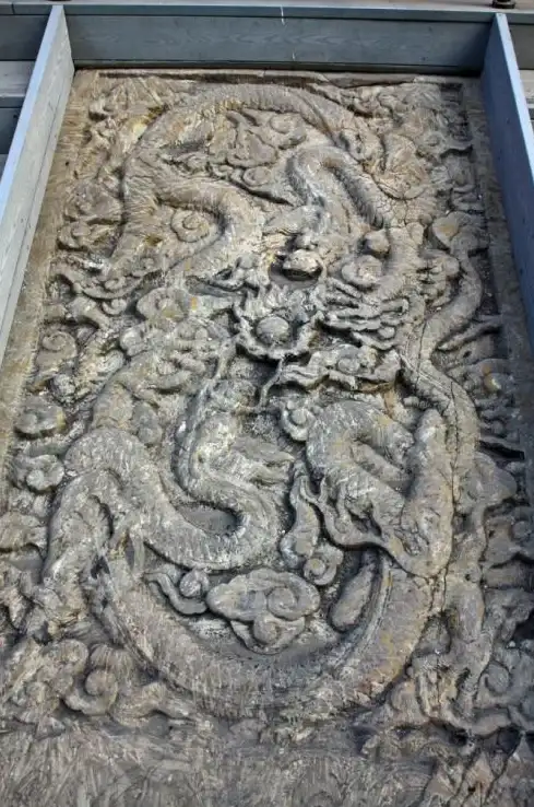 🔥高效整理♦必备工具♦数据利器｜深度解析《时光大爆炸》采集助手优势