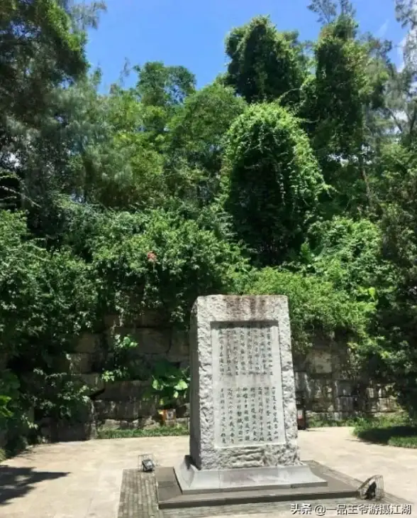 角色培养✨不朽之旅光影鞭终极技能搭配与装备详解