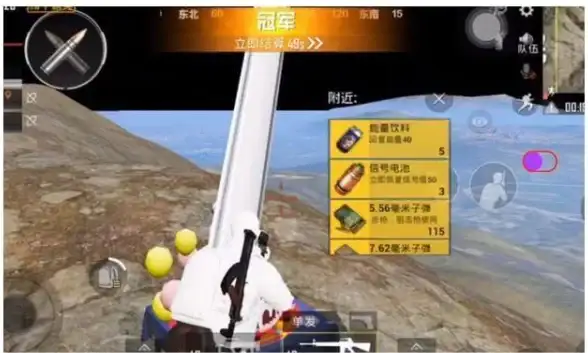 云端风险—外挂搭建警示！游戏安全快讯】云服务器和平精英外挂的隐患与防护要点