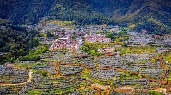 还在为设计效率发愁？酷熊AI设计助你轻松搞定创意工作！