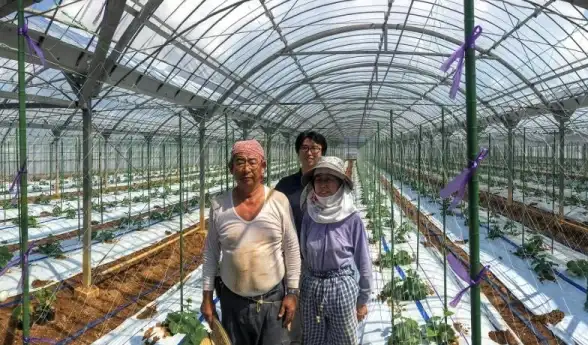 珠宝鉴定◆传统文化◆神秘揭秘｜教你快速辨别玉貔貅开光真伪及开光全过程