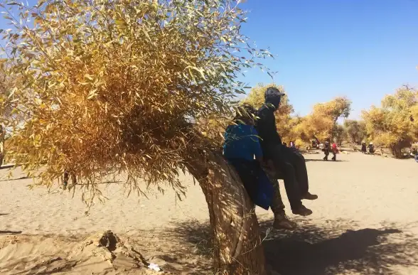 战略指南📚英雄排行🔥文明6中最强最实用的英雄推荐