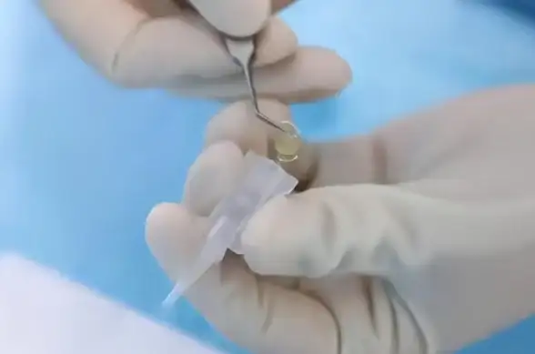 想体验贴心的校园服务？智慧内师APP不就是内江师范学院师生的专属神器吗？