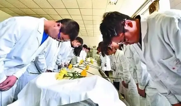 数字化转型 技术革新 服务器虚拟化与云计算如何重塑现代IT基础设施