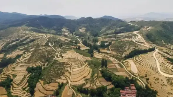 旗舰级🚀性能天梯新高度，极致体验再突破