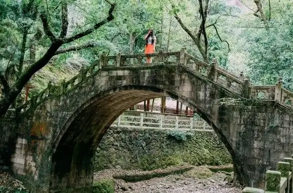 仙剑世界宠物合成全流程攻略