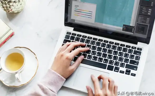重装必备🖥系统重装软件推荐与使用体验全解析