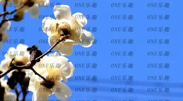 图片处理✨无水印✨PS去除水印教程，轻松获得清晰无水印图片
