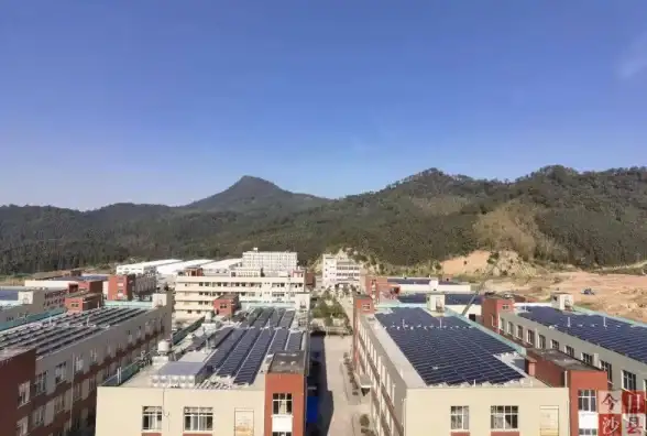 密码防护🛡装机高手教你轻松管理电脑账户安全，快速设置高强度密码