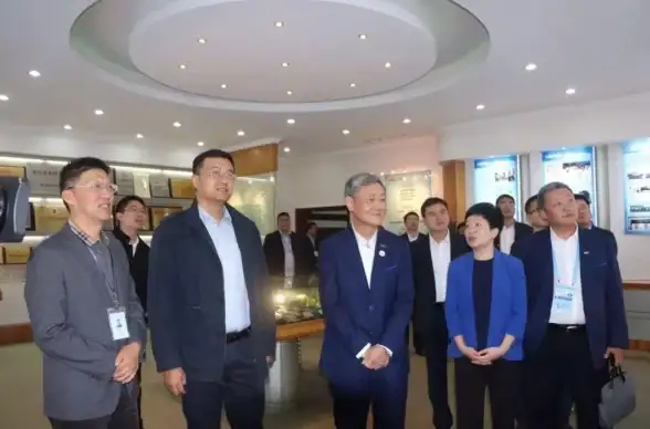 游戏攻略🎮晶片属性全解析，最终幻想7重生升级技巧详解