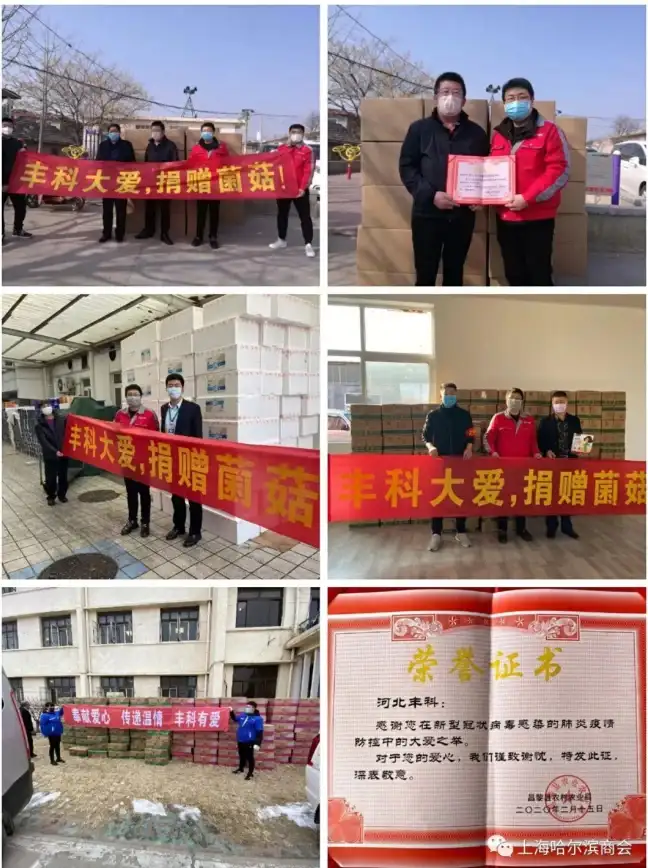 专线评测,新加坡网络-电信联通移动专线部署新加坡优缺点评测