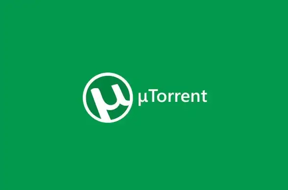 资源获取 torrent下载方法实用指南，快速掌握安全技巧
