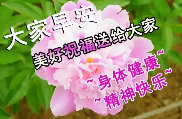 声音奥秘🔍揭秘声音为何消失：从传播原理到现实案例