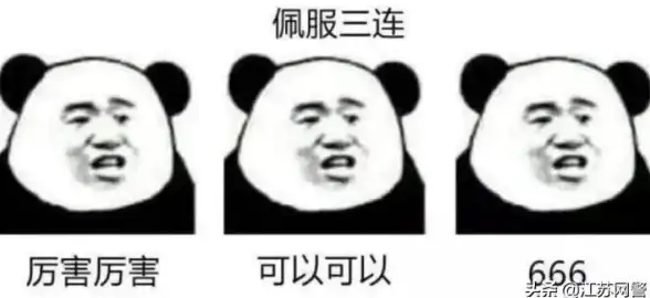 服务器租用,三网合一-江苏扬州本地三网合一服务器介绍