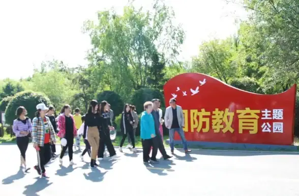 网络配置 网卡驱动安装全攻略，轻松解决上网难题让网络畅通无阻