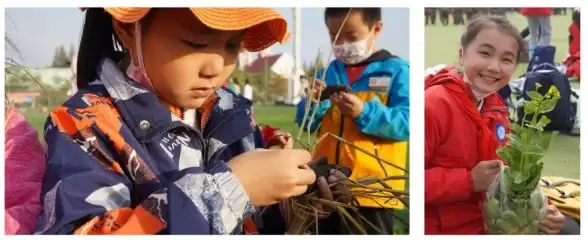 🌟高效养成🌟赚钱秘籍🌟星露谷物语最强作物搭配全攻略！