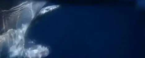 游戏秘籍🔥真三国无双起源虎口极速获取攻略秘籍