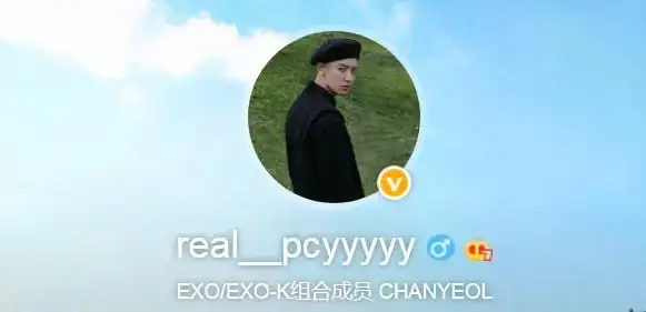 多线路互联,云服务器-全新BGP多线路服务器，鸿梦云呼和浩特机房体验