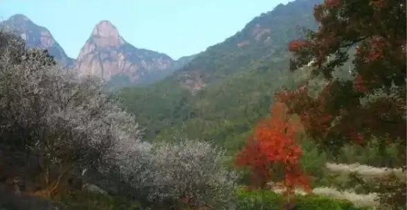想用手机畅享VR视频？utovr专为VR设备打造，你试过了吗？