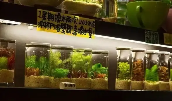 硬盘升级 换上ssd固态硬盘，笔记本性能大提升—小鱼为您全面讲解