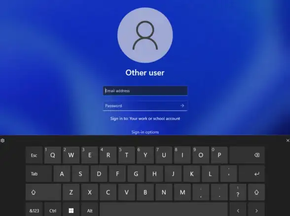 无密码登录✨Win11登录设置如何启用无密码选项操作指南